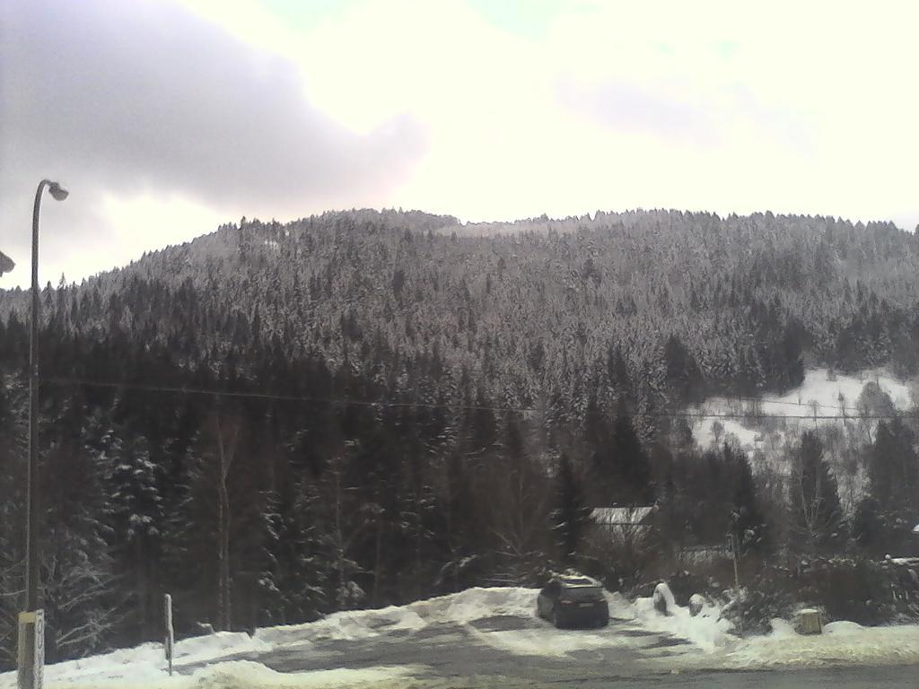 Gite De L'Ours La Bresse Exterior foto