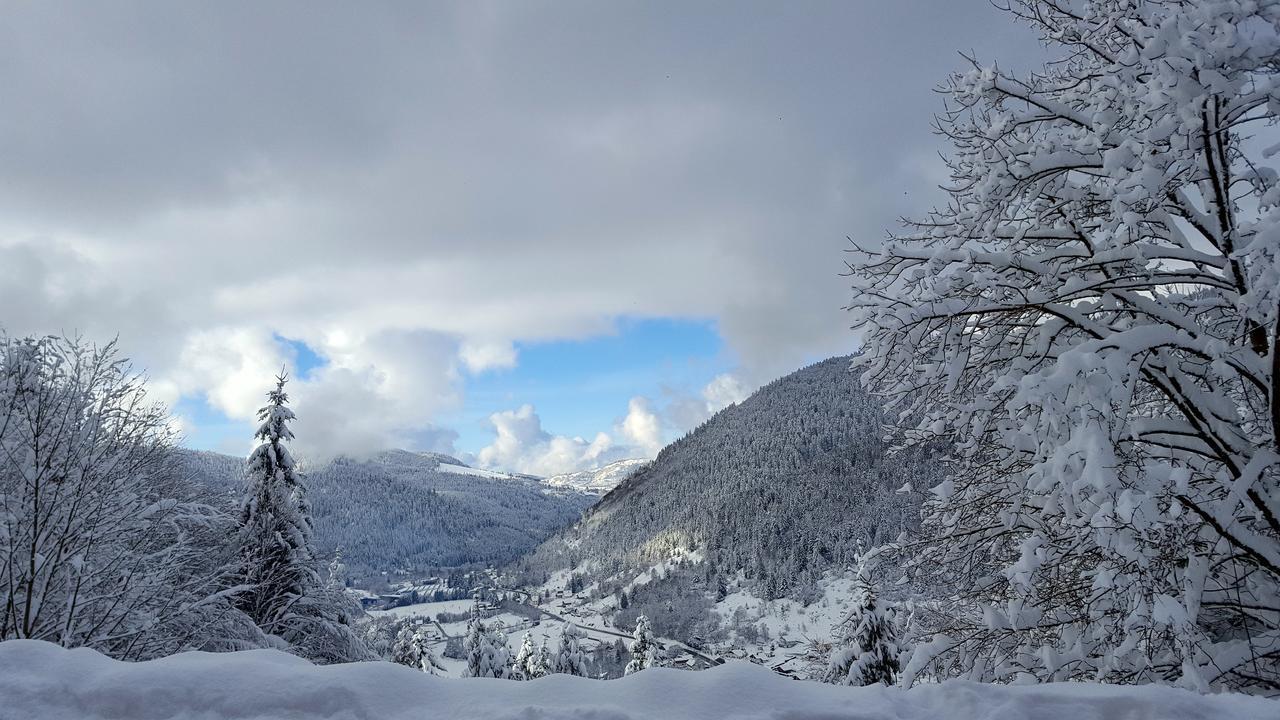 Gite De L'Ours La Bresse Exterior foto
